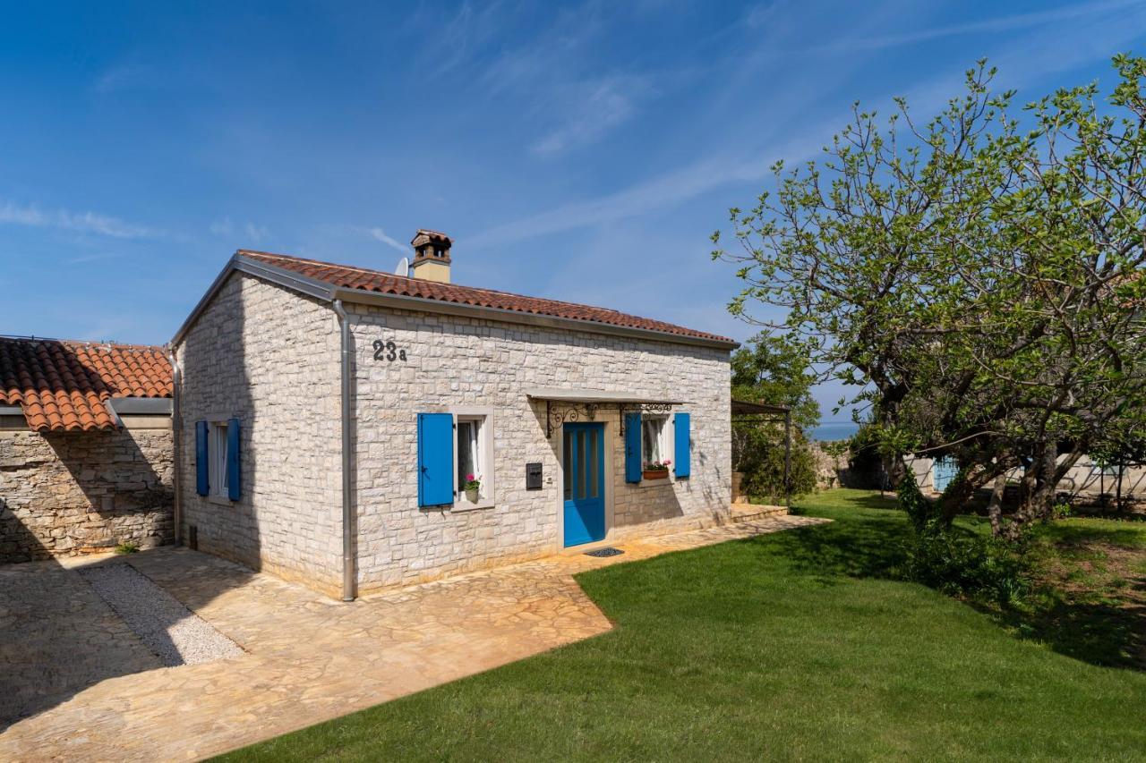 Villa Daulos Novigrad (Istria) Exterior foto