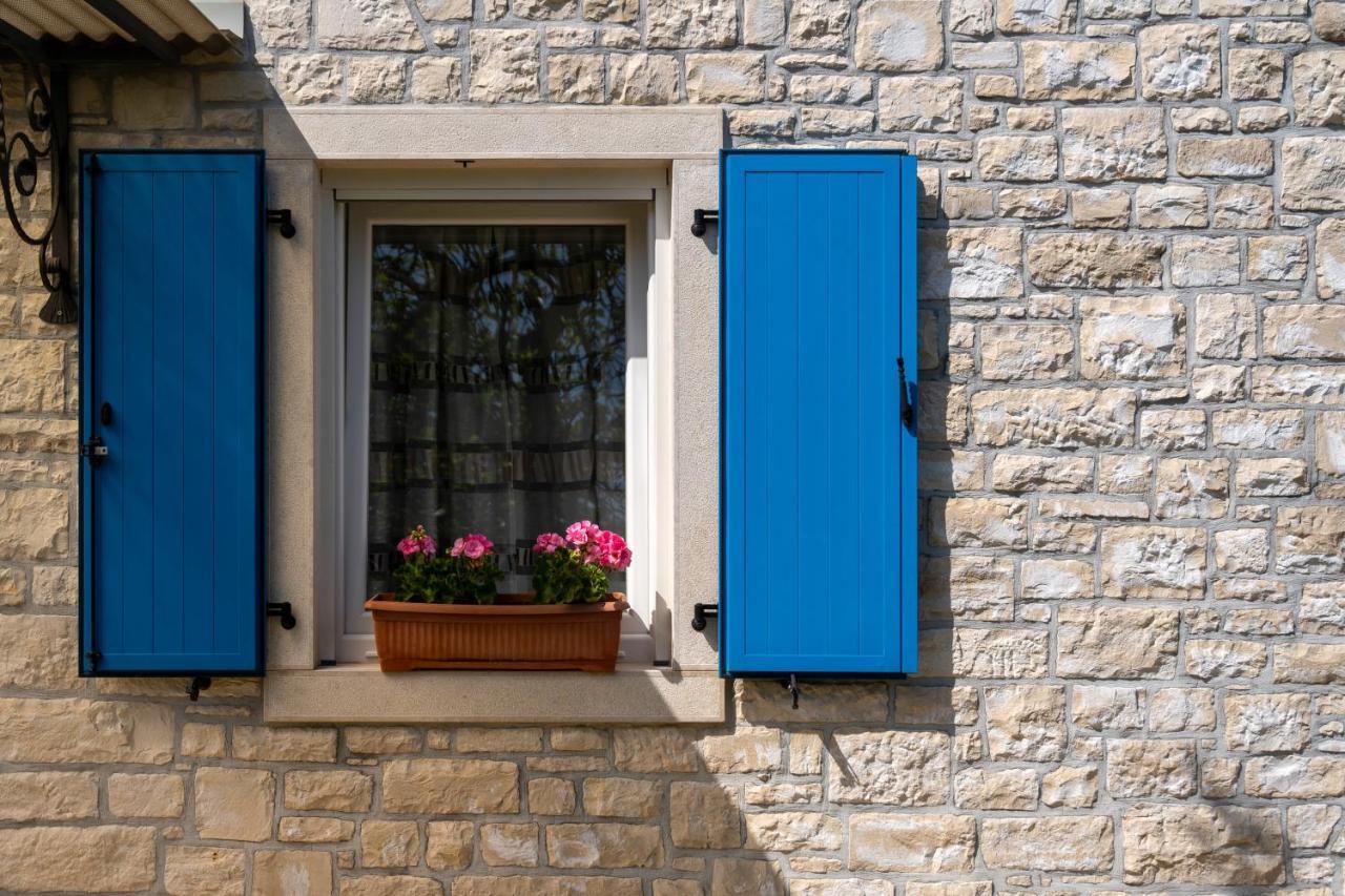 Villa Daulos Novigrad (Istria) Exterior foto