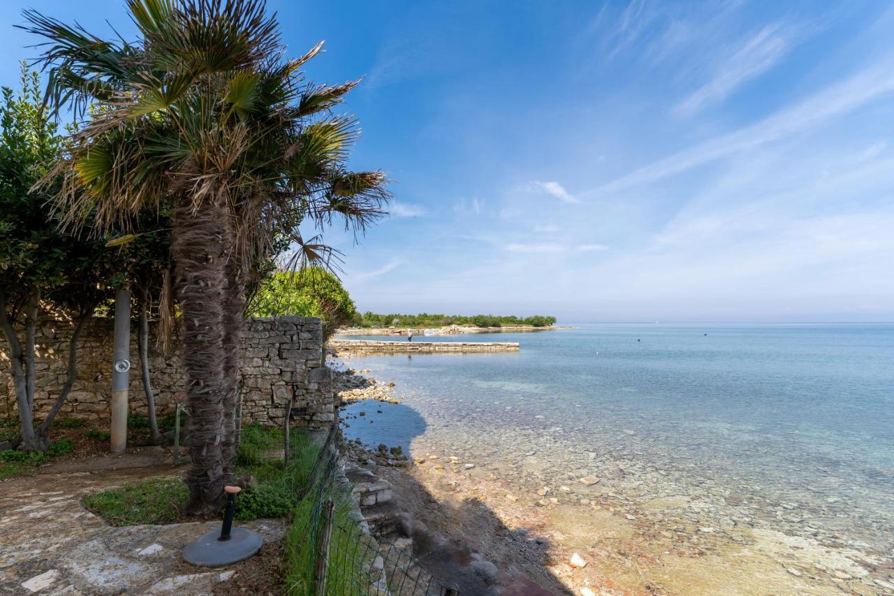 Villa Daulos Novigrad (Istria) Exterior foto