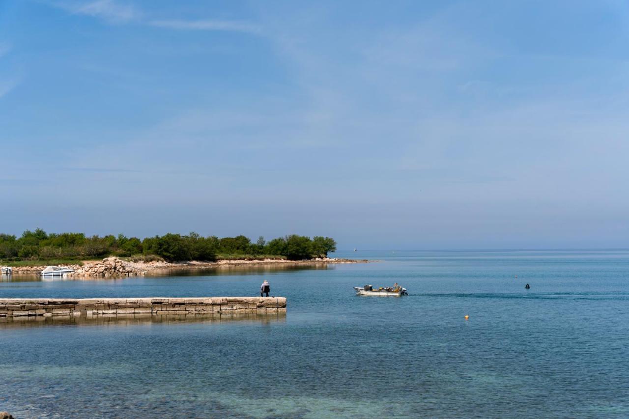 Villa Daulos Novigrad (Istria) Exterior foto