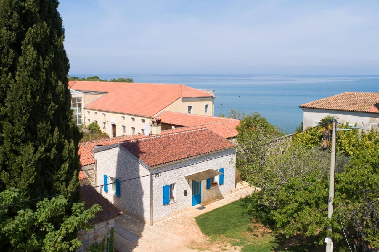 Villa Daulos Novigrad (Istria) Exterior foto