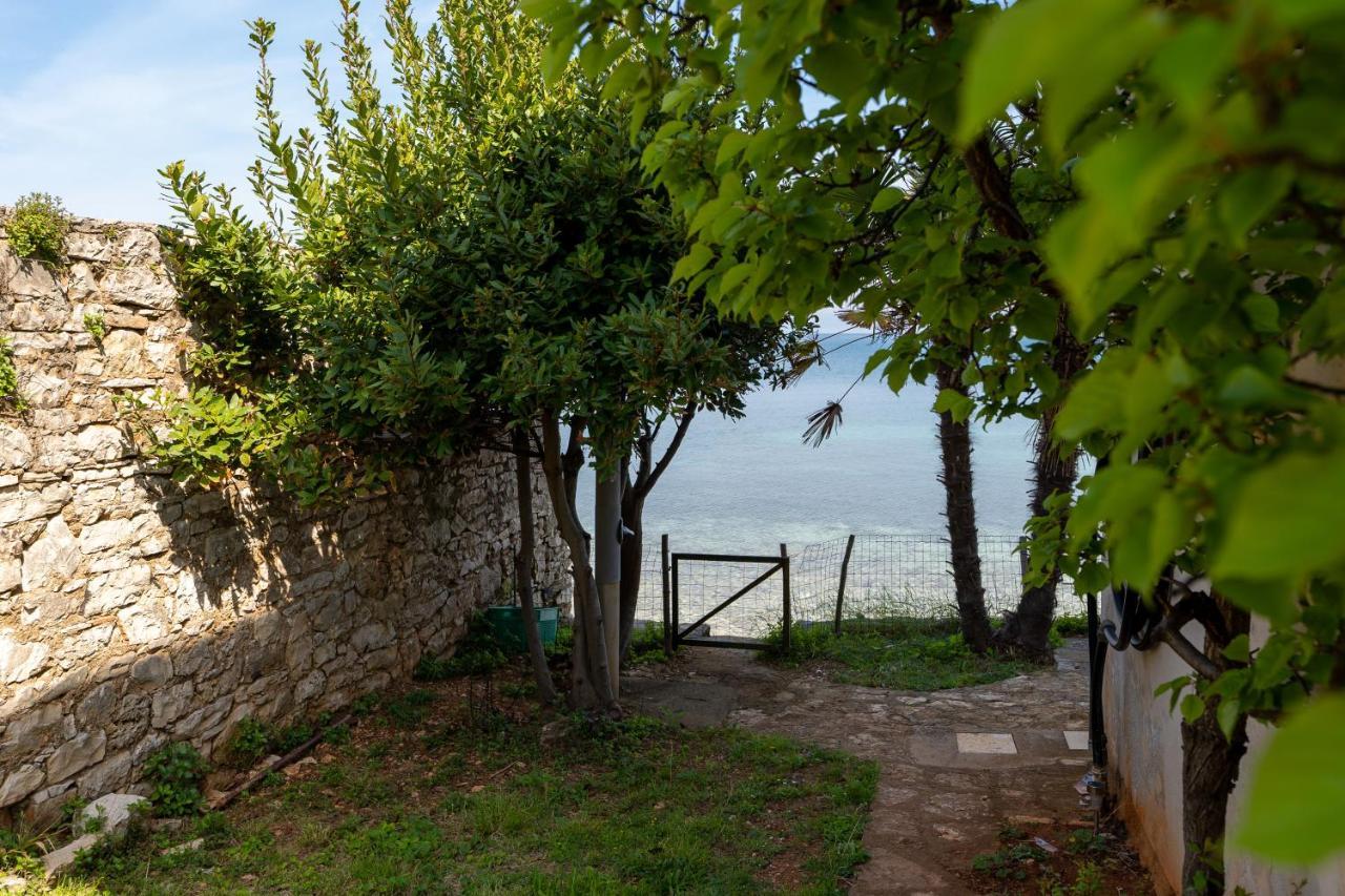 Villa Daulos Novigrad (Istria) Exterior foto